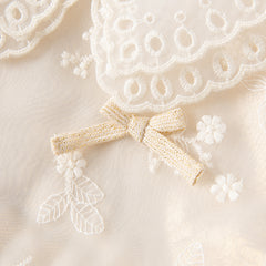 Dave&Bella Toddler Girls Autumn Beige Embroidered Craft Court Style Mesh Princess Dress
