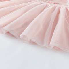 Dave & Bella Baby Girl Embroidered Mesh Princess Dress