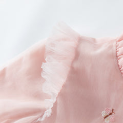 Dave & Bella Baby Girl Embroidered Mesh Princess Dress