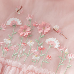 Dave & Bella Baby Girl Embroidered Mesh Princess Dress