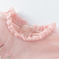 Dave & Bella Baby Girl Embroidered Mesh Princess Dress