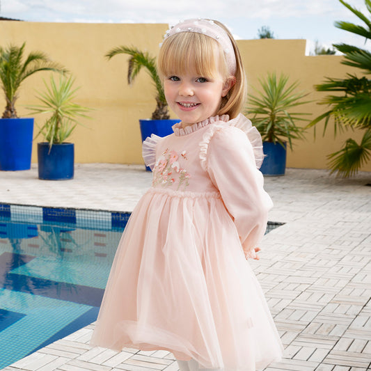 Dave & Bella Baby Girl Embroidered Mesh Princess Dress