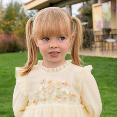 Dave&Bella Toddler Girls Spring/Fall Embroidered Mesh Princess Dresses
