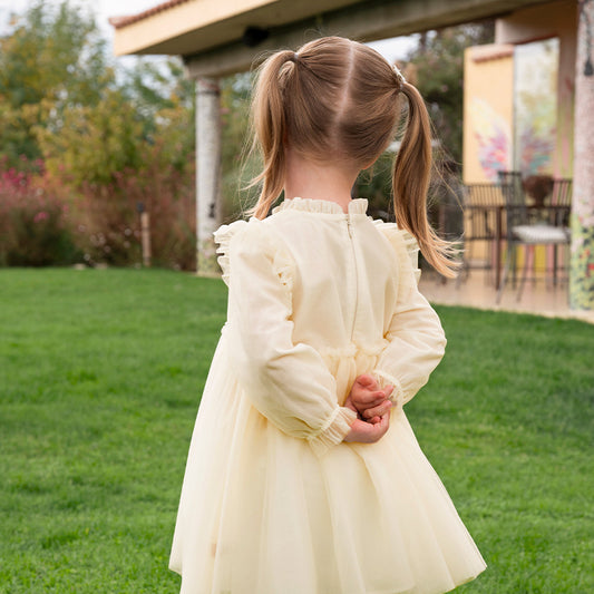 Dave & Bella Baby Girl Embroidered Mesh Princess Dress