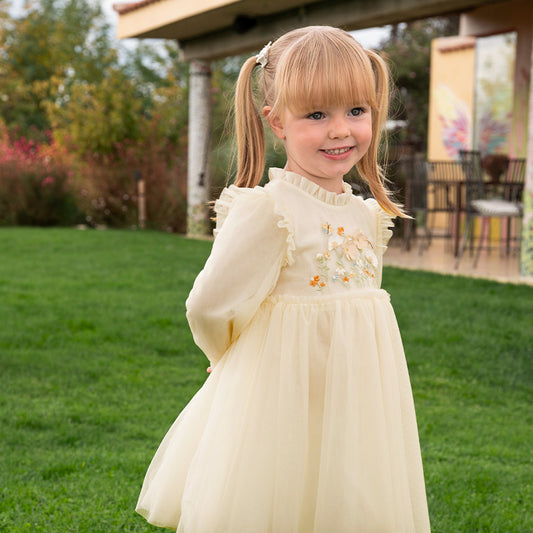 Dave & Bella Baby Girl Embroidered Mesh Princess Dress