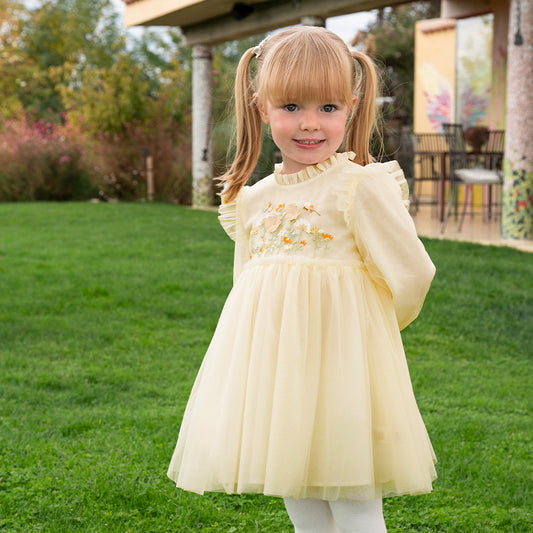 Dave&Bella Toddler Girls Spring/Fall Embroidered Mesh Princess Dresses