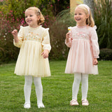 Dave&Bella Toddler Girls Adorable Flower Embroidered Mesh Princess Dresses