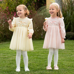 Dave&Bella Toddler Girls Spring/Fall Embroidered Mesh Princess Dresses