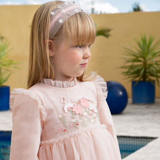 Dave & Bella Baby Girl Embroidered Mesh Princess Dress