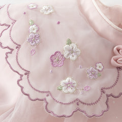 Dave&Bella Girls Spring Dress - Cute Mesh Embroidery Princess Dress for Party