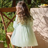 Dave&Bella Toddler Girls Grey Green Adorable Flower Embroidery Princess Mesh Dress