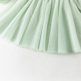 Dave&Bella Toddler Girls Grey Green Adorable Flower Embroidery Princess Mesh Dress