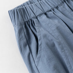 Dave&Bella Toddler Boys Casual Blue Chinese-style V-collar Top Pant Suits