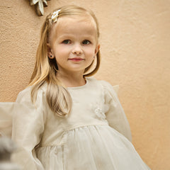 Dave&Bella Toddler Girls Cute Beige Long sleeve Adorable A-line Mesh Dress