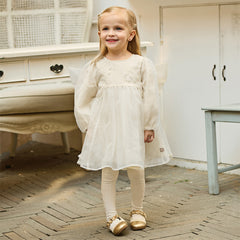 Dave&Bella Toddler Girls Cute Beige Long sleeve Adorable A-line Mesh Dress