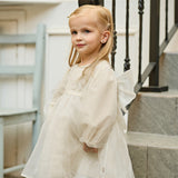 Dave&Bella Toddler Girls Cute Beige Long sleeve Adorable A-line Mesh Dress
