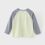 Dave&Bella Toddler Boys Casual Grey Green Long Sleeve T-shirt Pant Suits