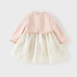 Dave&Bella Toddler Girls Sweet Pink Elegant Princess Mesh Dress
