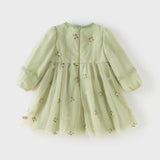 Dave&Bella Toddler Girls Apple Green Flower Embroidery Long Sleeve Princess Mesh Dress