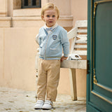 Dave&Belle Toddler Boys Gentle Blue V-neck Cotton Soft Sweater Cardigans Tops