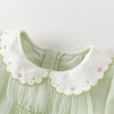 Dave&Bella Toddler Girls Cute Grass Green Long Sleeve Mesh Princess Dress