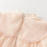 Dave&Bella Toddler Girls Charming Orange Chinese-style Embroidery A-line Mesh Dress