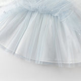 Dave&Bella Toddler Girls Elegant Sky Blue Long Sleeve Princess Birthday Mesh Dress