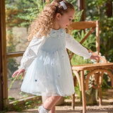 Dave&Bella Toddler Girls Elegant Sky Blue Long Sleeve Princess Birthday Mesh Dress