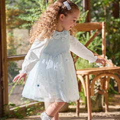 Dave&Bella Toddler Girls Elegant Sky Blue Long Sleeve Princess Birthday Mesh Dress