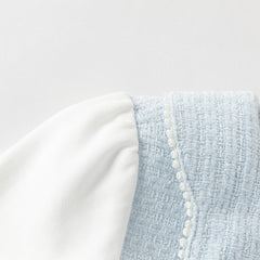 Dave&Bella Toddler Girls Elegant Sky Blue Long Sleeve Princess Birthday Mesh Dress