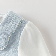 Dave&Bella Toddler Girls Elegant Sky Blue Long Sleeve Princess Birthday Mesh Dress