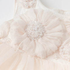 Dave&Bella Kids Girls Summer Noble Reb/Pink Haute Couture Mesh Party