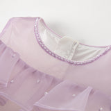 Dave&Bella Kids Girls Summer Grey Purple Sleeveless Luxury Tutu Princess Tulle Dress