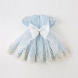 Dave&Bella Kids Girls Summer Elegant Blue Embroidery Lace Hem Princess Tulle Dress