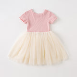 Dave&Bella Kids Girls Summer Swan Print Pink Mesh Birthday Party A-line Dress