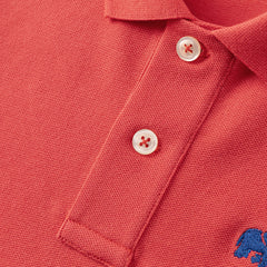 Dave&Bella Boys Summer Cotton Classic  Polo T-Shirt with 7 Color Choices