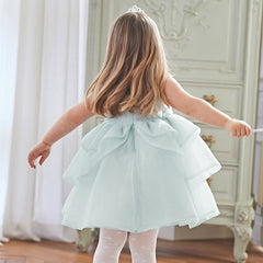 Dave Bella Girl's Princess Mesh Sleeveless Dress