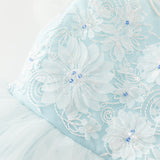 Dave&Bella Toddler Girls Summer Elegant Blue Flutter Sleeve Luxury Tutu Party Tulle Dress