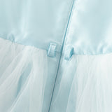 Dave&Bella Toddler Girls Summer Elegant Blue Flutter Sleeve Luxury Tutu Party Tulle Dress
