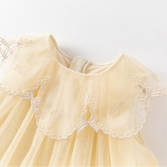 Dave&Bella Girls Summer Sleeveless Champagne Mesh Dress