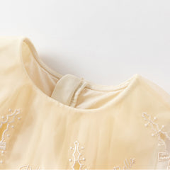 Dave&Bella Girls Summer Sleeveless Champagne Mesh Dress