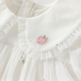 Dave&Bella Toddler Girls Summer Beige Bubble Sleeve Mesh Birthday Dress (wallet bag)