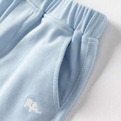 Dave&Bella Boys Summer Leisure Blue  Antimicrobial Coolness Polo T-shirt Short Pant Set