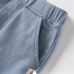 Dave&Bella Boys Summer Cotton Formal Grey Purple Polo T-shirt Short Pant Set