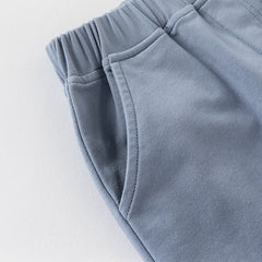 Dave&Bella Boys Summer Cotton Formal Grey Purple Polo T-shirt Short Pant Set