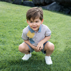 Dave&Bella Boys Summer Cotton Formal Grey Purple Polo T-shirt Short Pant Set