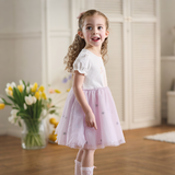Dave&Bella Toddler Girls Summer Elegant Swan Purple Mesh A-line Princess