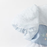Dave&Bella Summer Toddler Girls Classic Blue Traditional-style Turtle A-line Mesh Dress