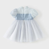 Dave&Bella Summer Toddler Girls Classic Blue Traditional-style Turtle A-line Mesh Dress