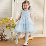 Dave&Bella Toddler Girls Summer Stylish Blue Sleeveless Breathable Mesh Princess Dress